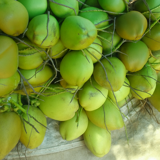 Fresh Nariyal
