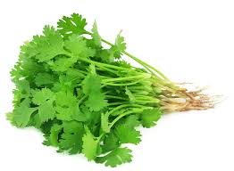 Fresh Dhaniya Patta (Coriander Leaves) – 1 Bunch | Aromatic & Farm Fresh