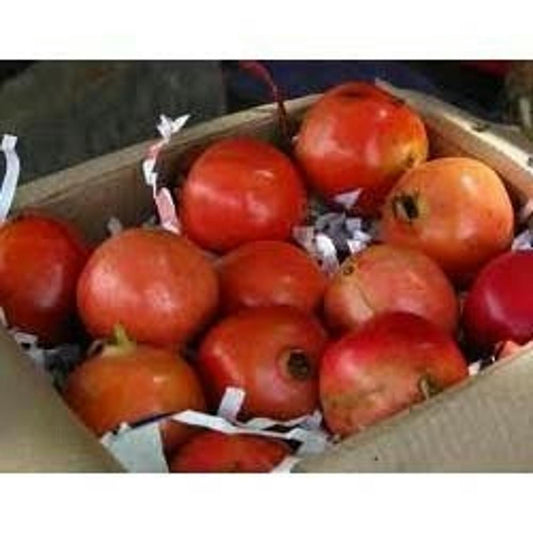 Anar - 10 kg